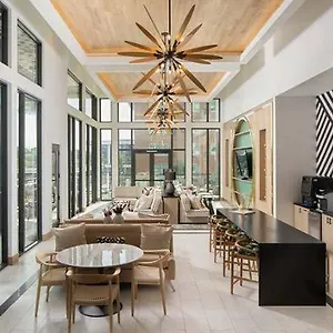 Entire Modern Luxury 1-1 Near Airport-downtown Tampa