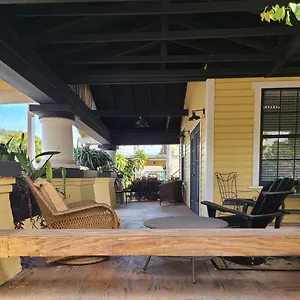 Palm Tampa
