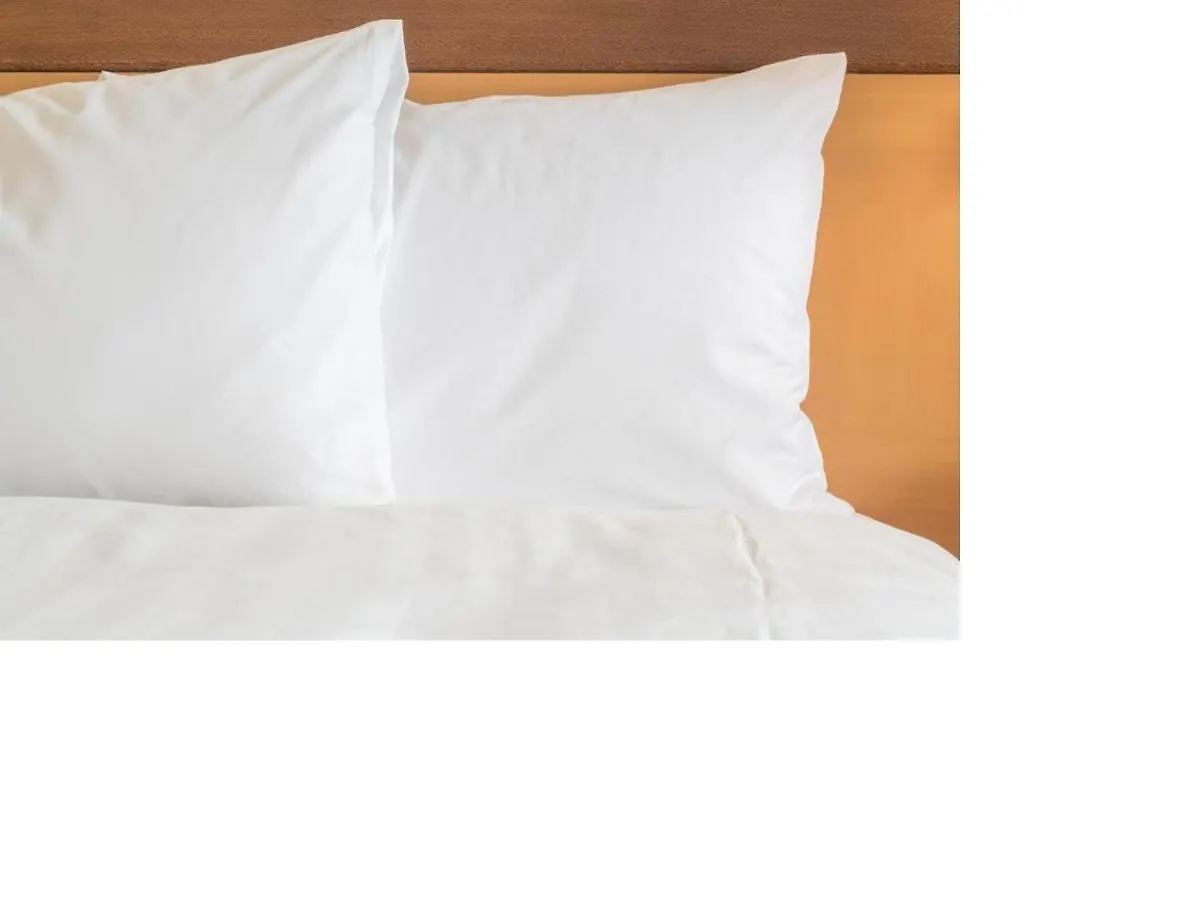 *** Hotel Holiday Inn Express And Suites Tampa I-75 At Bruce B. Downs By Ihg United States