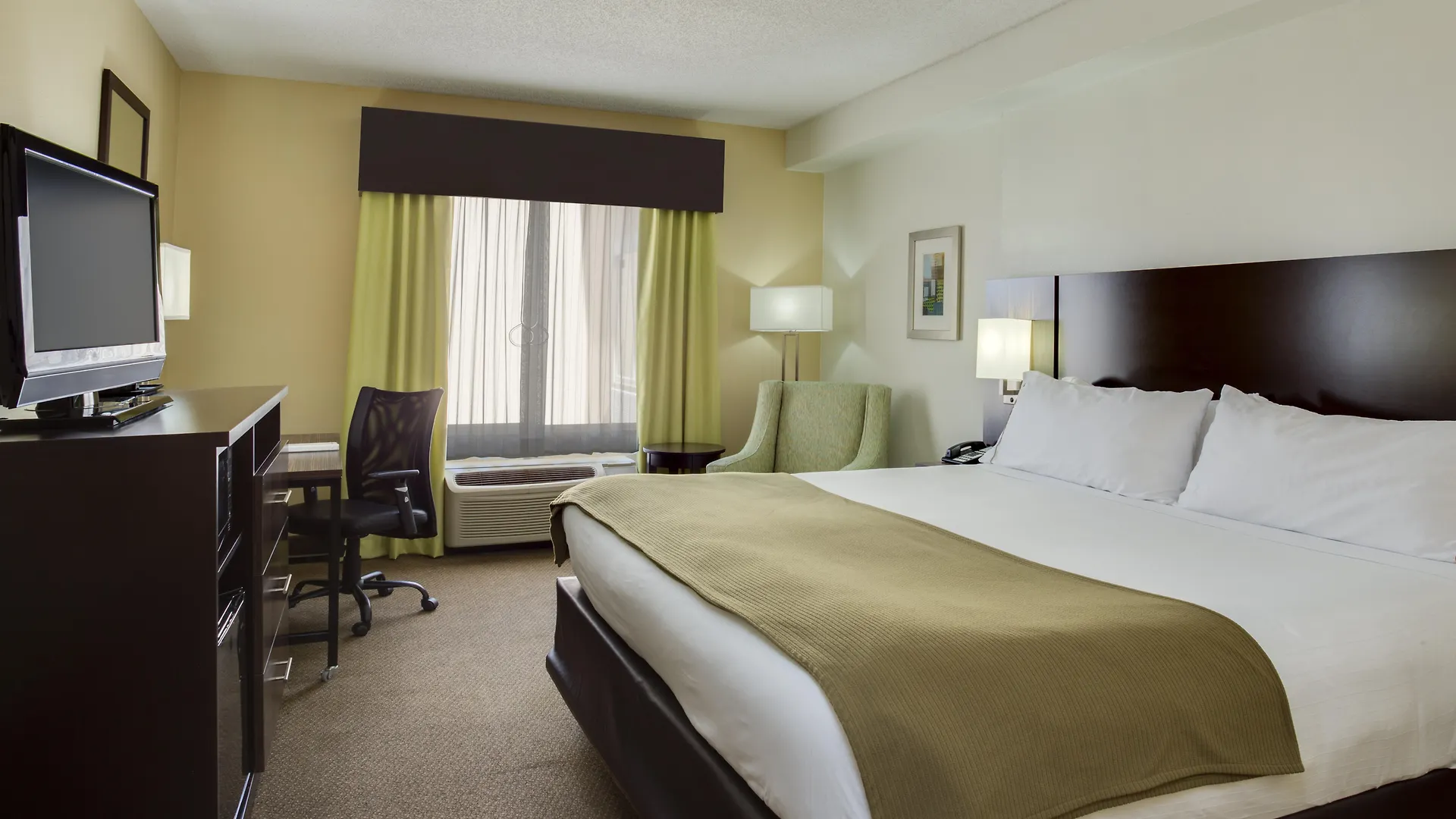 *** Hotel Holiday Inn Express And Suites Tampa I-75 At Bruce B. Downs By Ihg United States