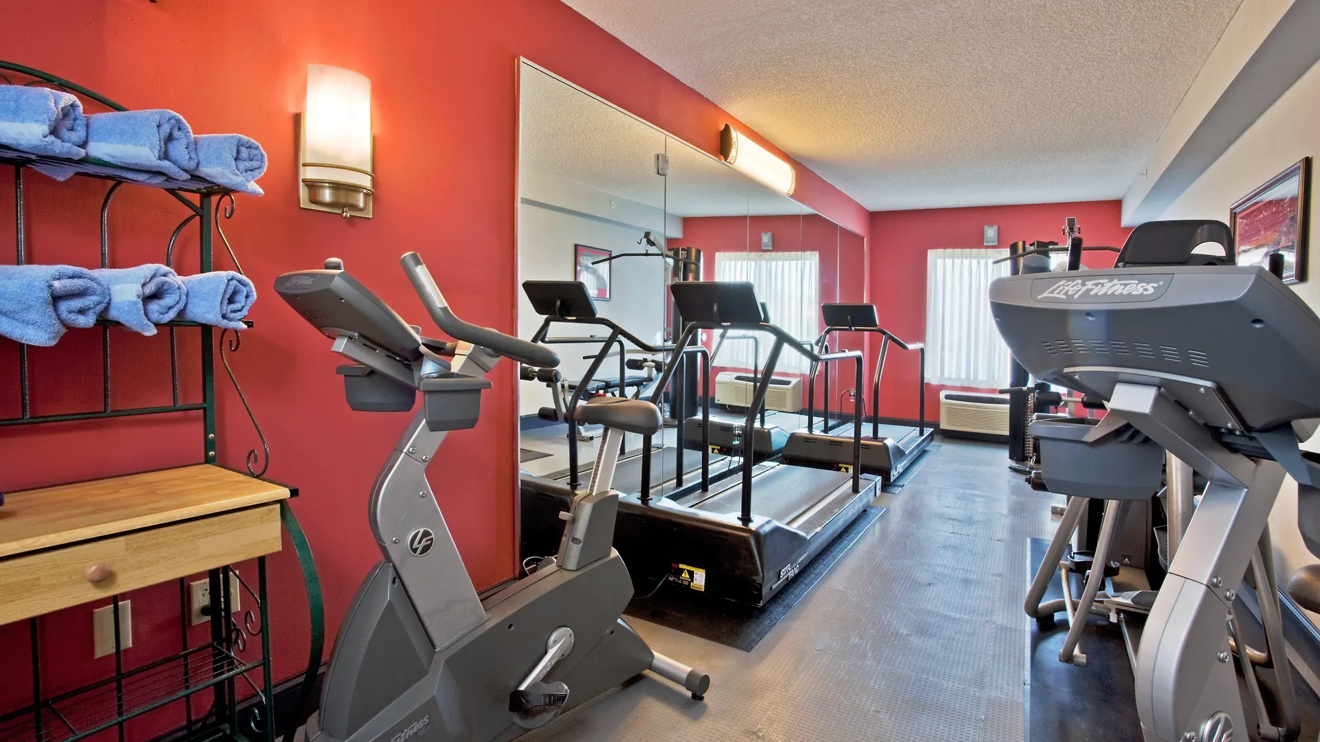 Holiday Inn Express And Suites Tampa I-75 At Bruce B. Downs By Ihg United States